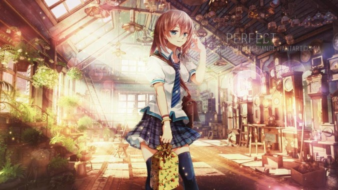 如何看待 Rust 的应用前景？